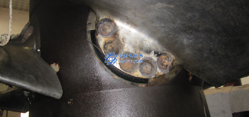 水輪機密封——槳葉密封方案