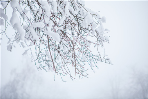 拉尼娜現象是什么意思？對我國2020年有什么影響？